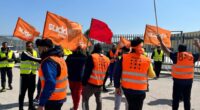 Anche se localizzati, giudicati marginali, gli scontri fra padroni ed operai dove gli operai resistono, scioperano compatti, non cedono, sono un importantissimo esempio di come la lotta contro lo sfruttamento può e deve essere combattuta oggi. Un esempio: il magazzino Pregis della Logistic 
